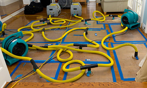 Professional Crawl Space Water Removal technician working in Beach City, TX